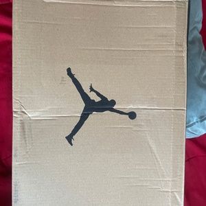 Jordan 12 university gold